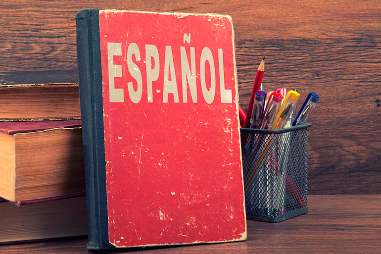 Study Spanish in Spain for adults