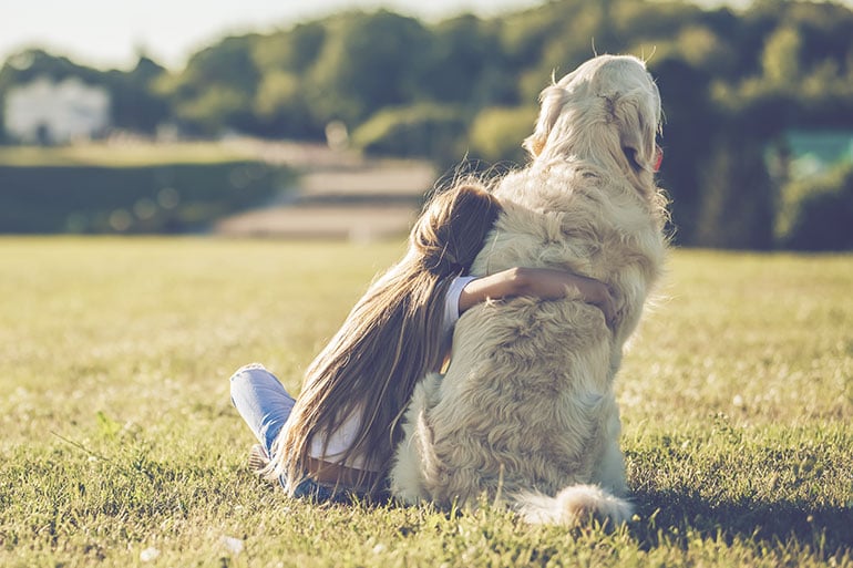 Different dog leash types