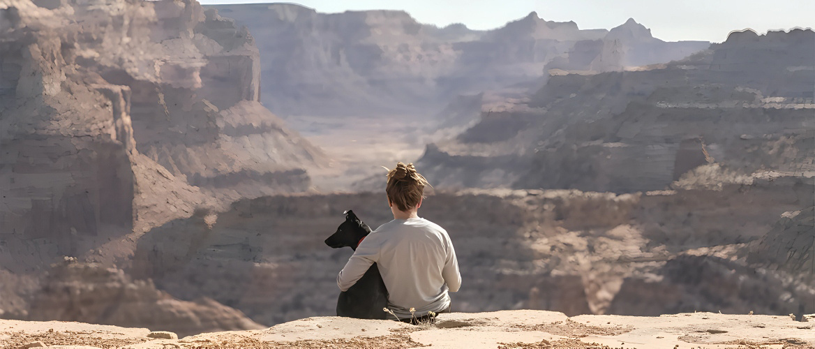 CABECERA_PETS_TRAVEL_REQUIREMENTSs