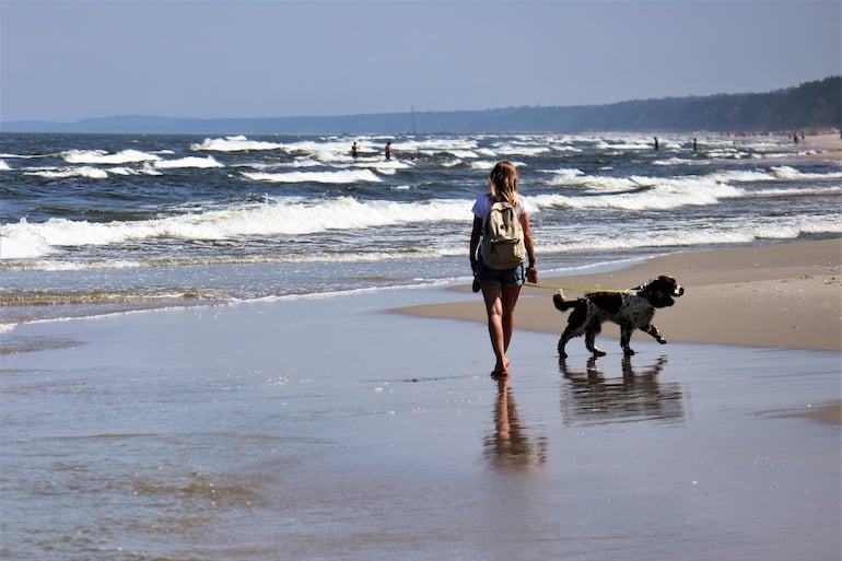 animal welfare act girl on the beach with his dog