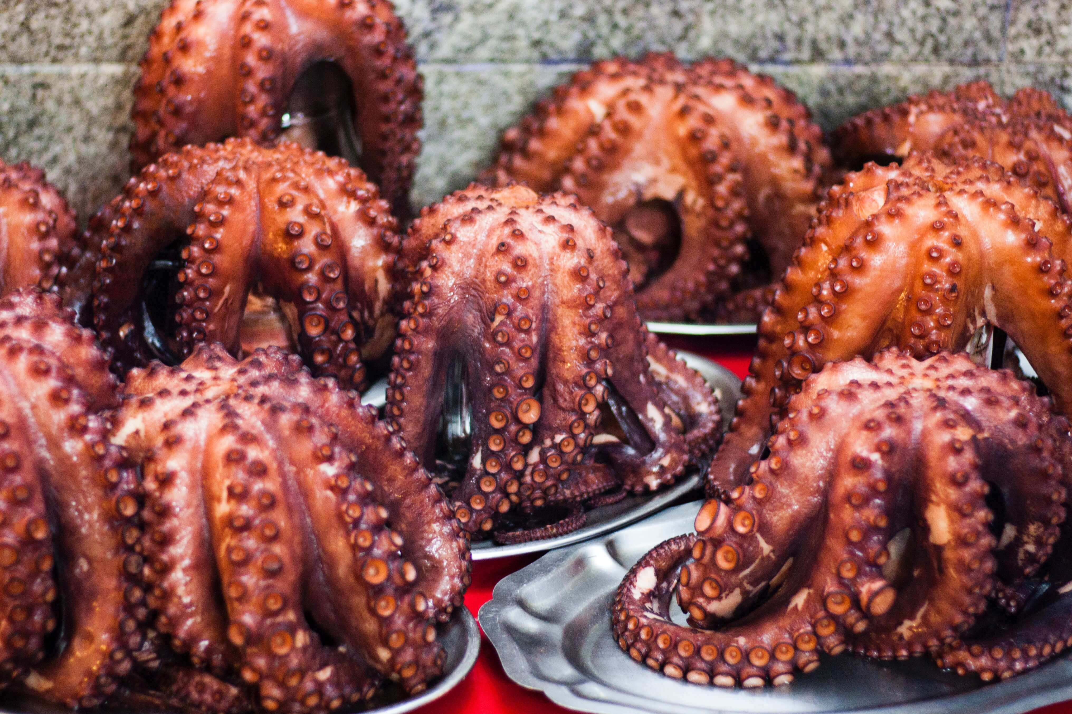 seafoodl ike pulpo is something you'll experience living in galicia