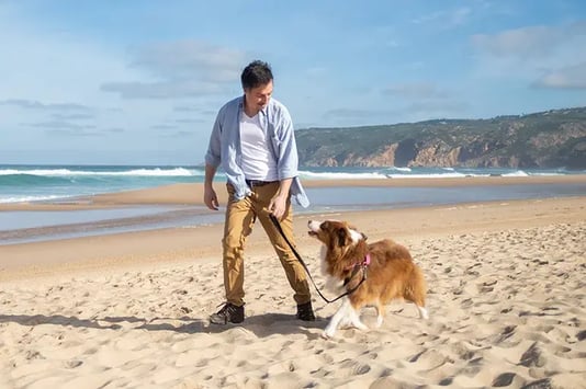 CUERPO_1_Moving_to_Spain_with_a_dog_A_guide_to_climate_risks_and_pet_care