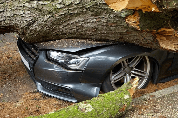 CUERPO_2_Caser_Autohelp_our_emergency_call_system_in_cars