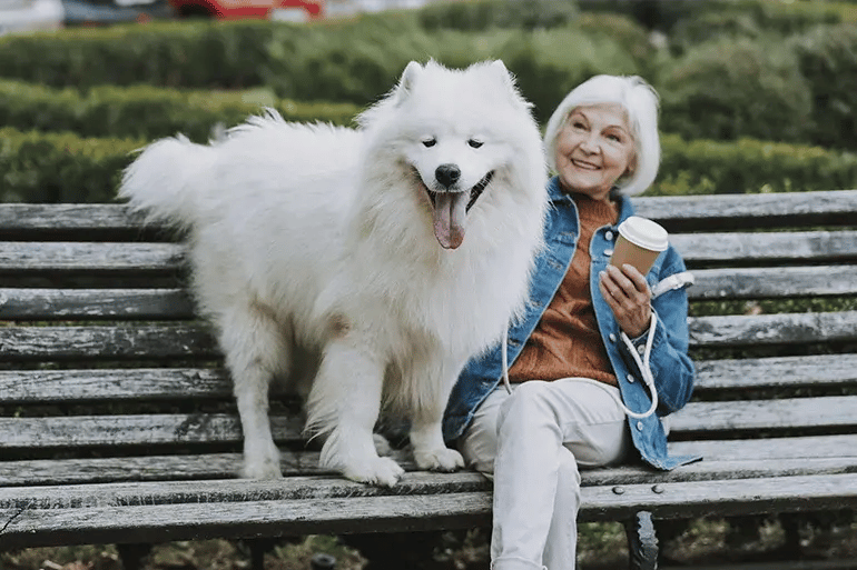 CUERPO_2_Does_Pet_Insurance_Cover_Spaying_and_Neutering