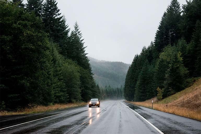 car green card in the forest