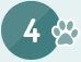 4 Pets