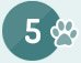 5 Pets