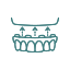  Denture 