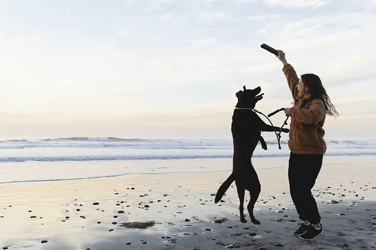 A girl enjoying her dog after getting her dog liability insurance.