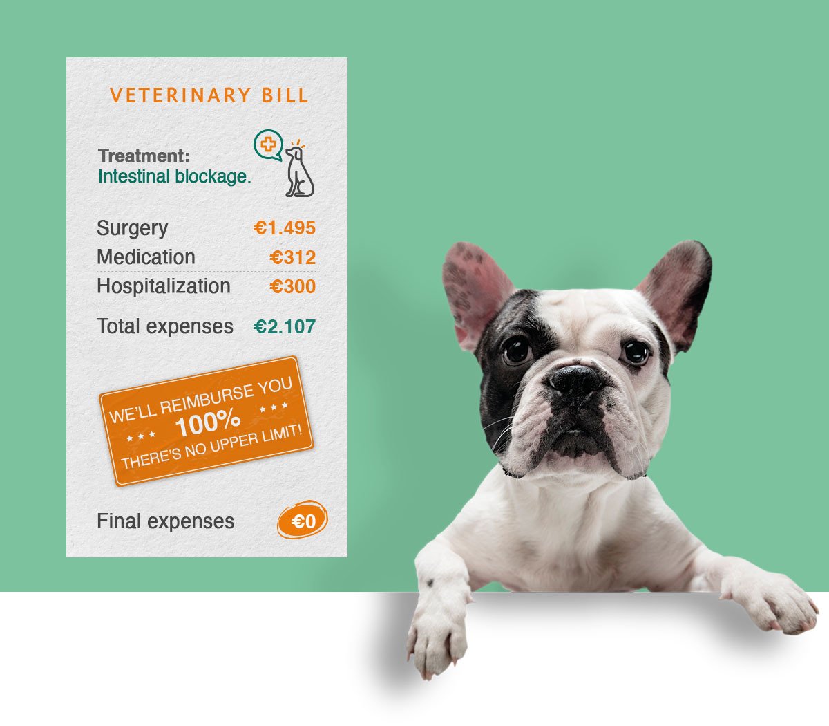 Pets_Insurance_Vet_Bill