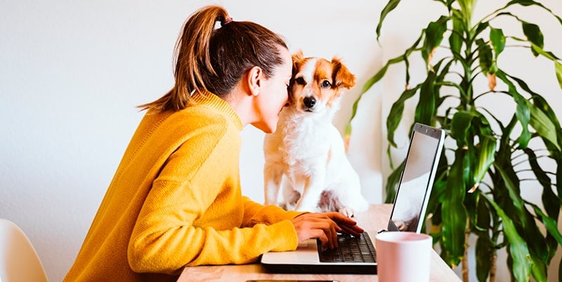Woman wearing a yellow sweater using a laptop at a table, accompanied by her small dog sitting next to her.