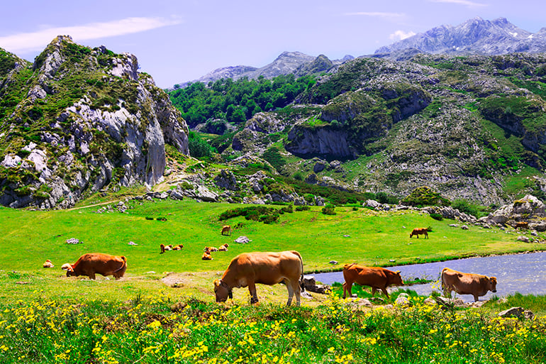 lakes of covadonga are one of the best places to visit in spring in spain
