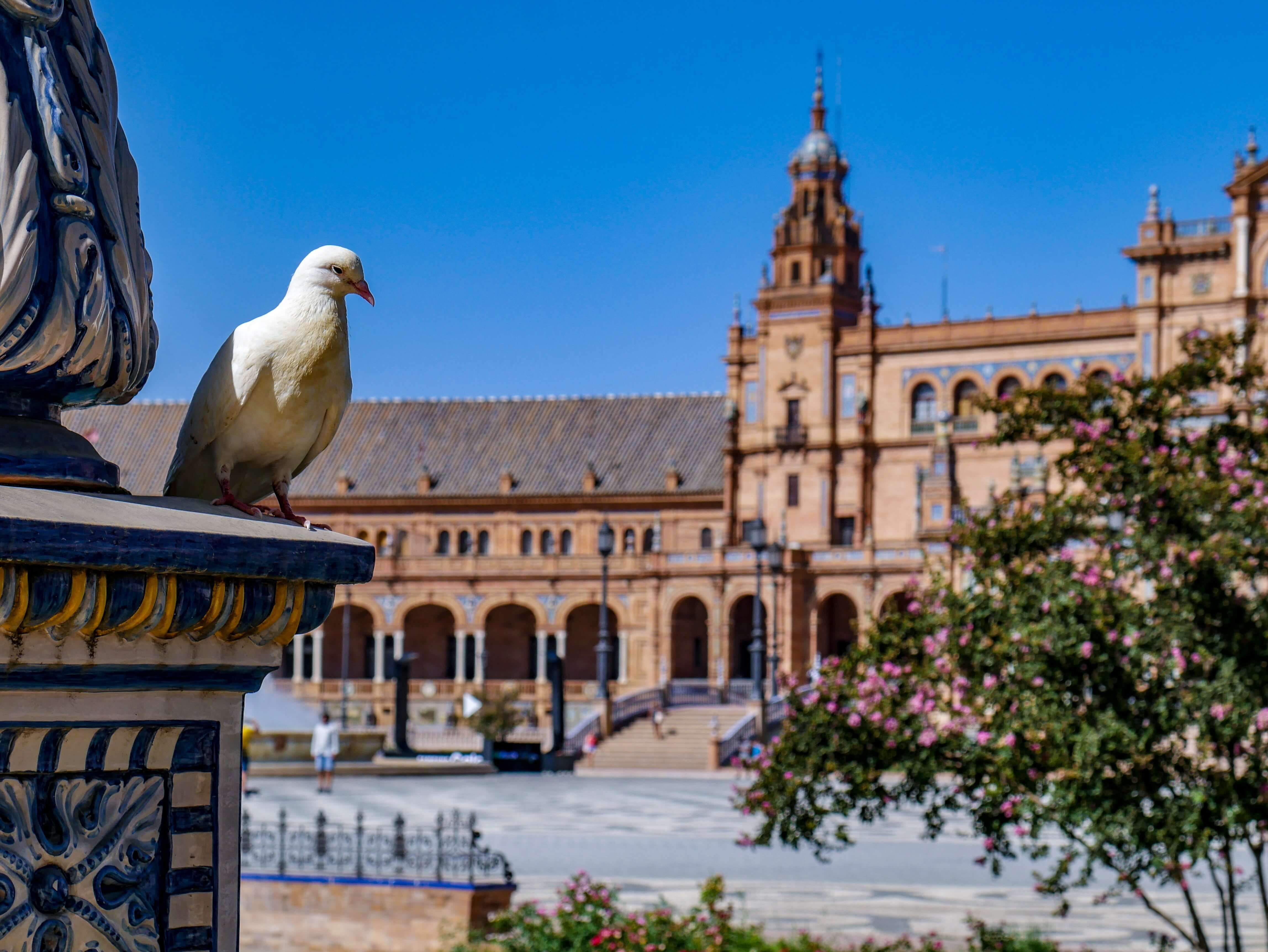 seville often ranks among the best expat communities in spain