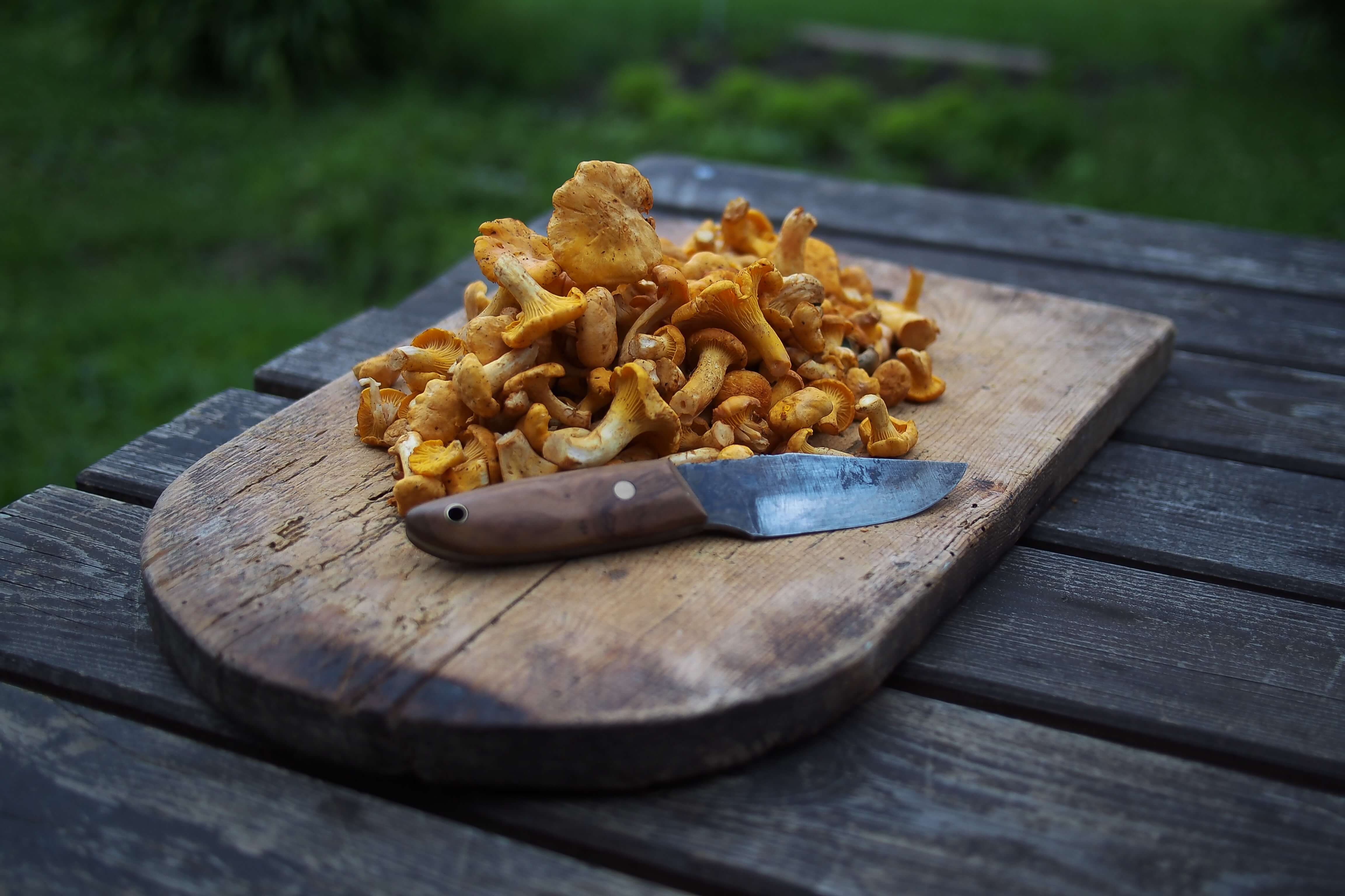 chopping mushrooms in spain