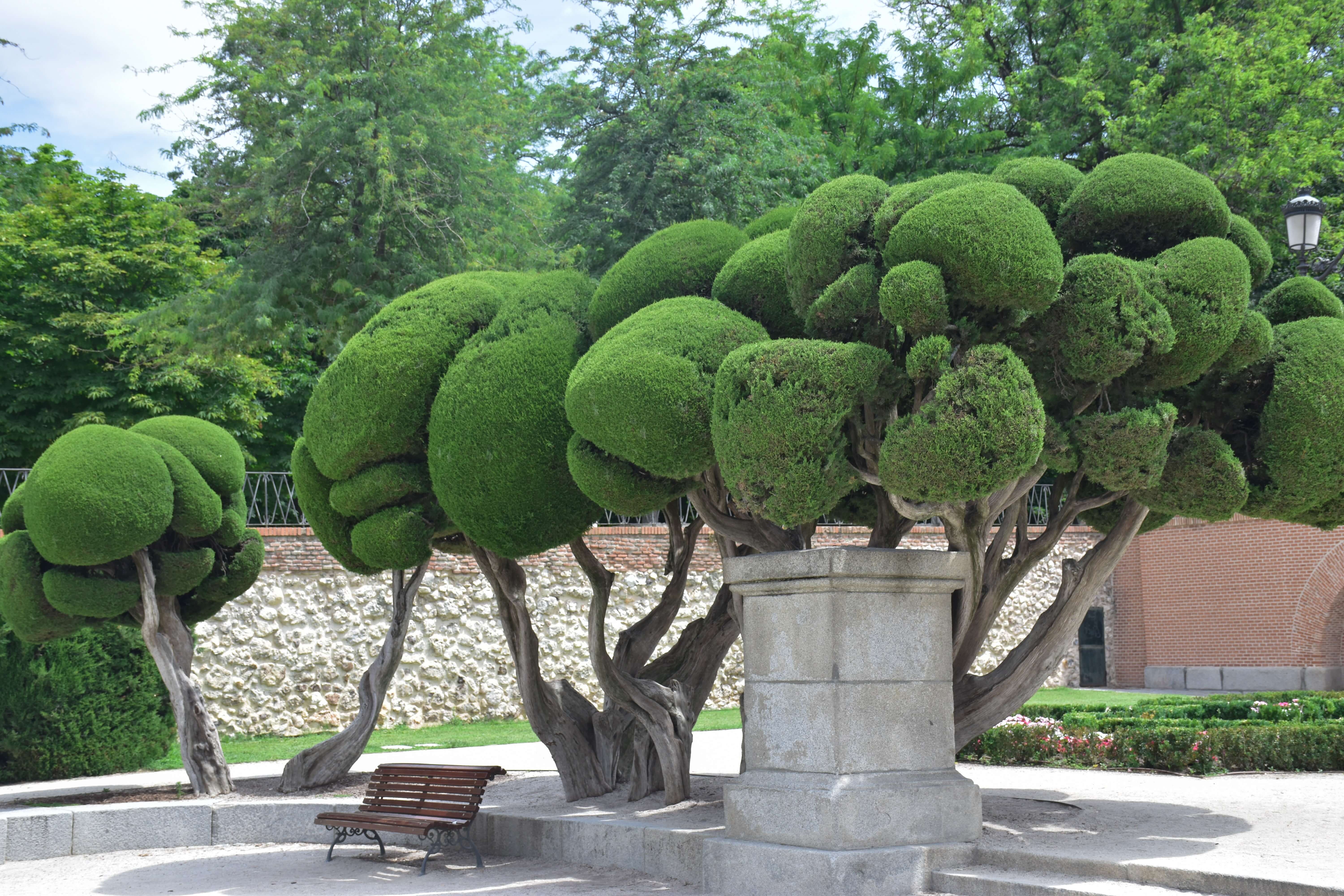 Parque del Buen Retiro: The Complete Guide