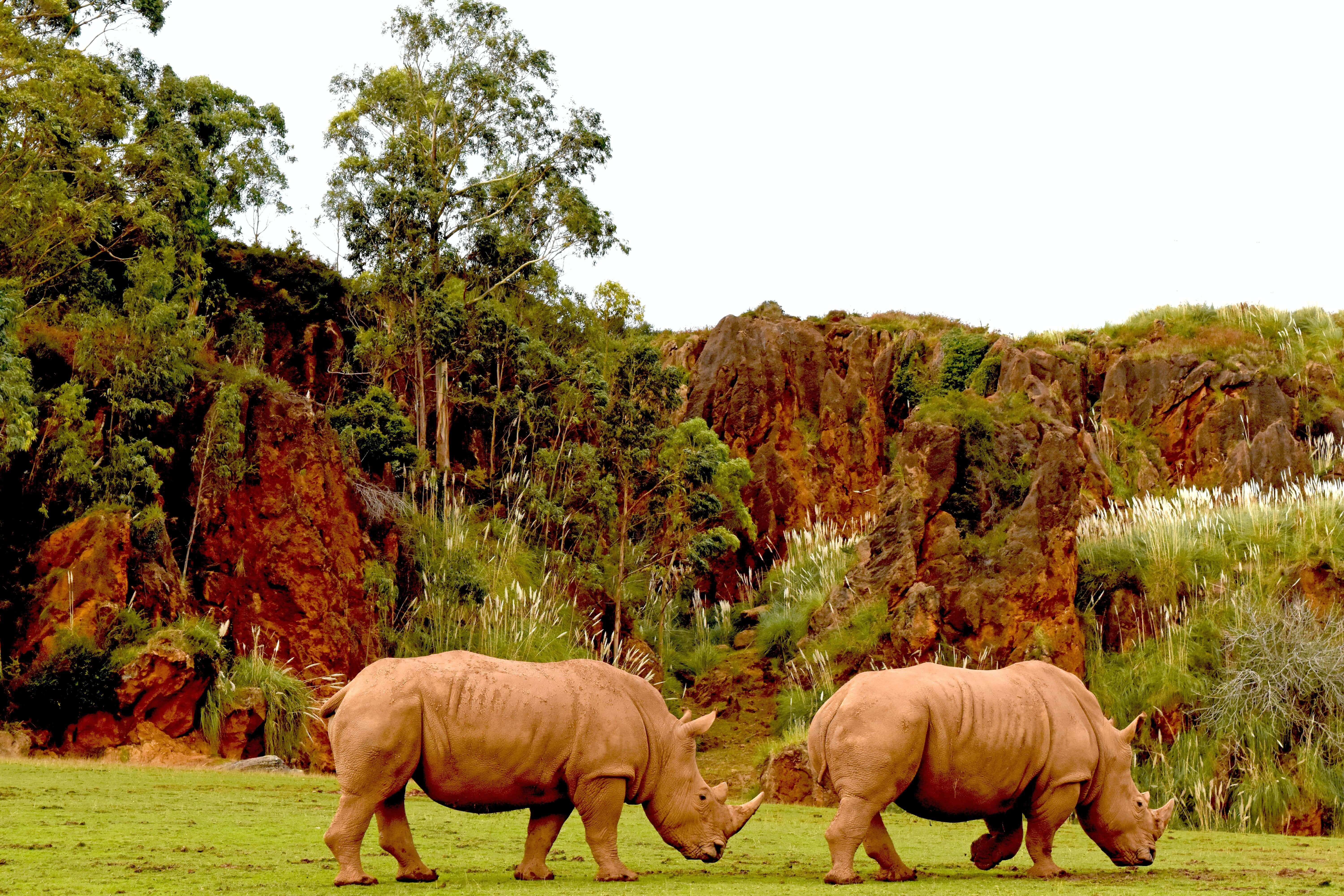 Caberceno is a safari park that's one of the best places to visit in spain with kids
