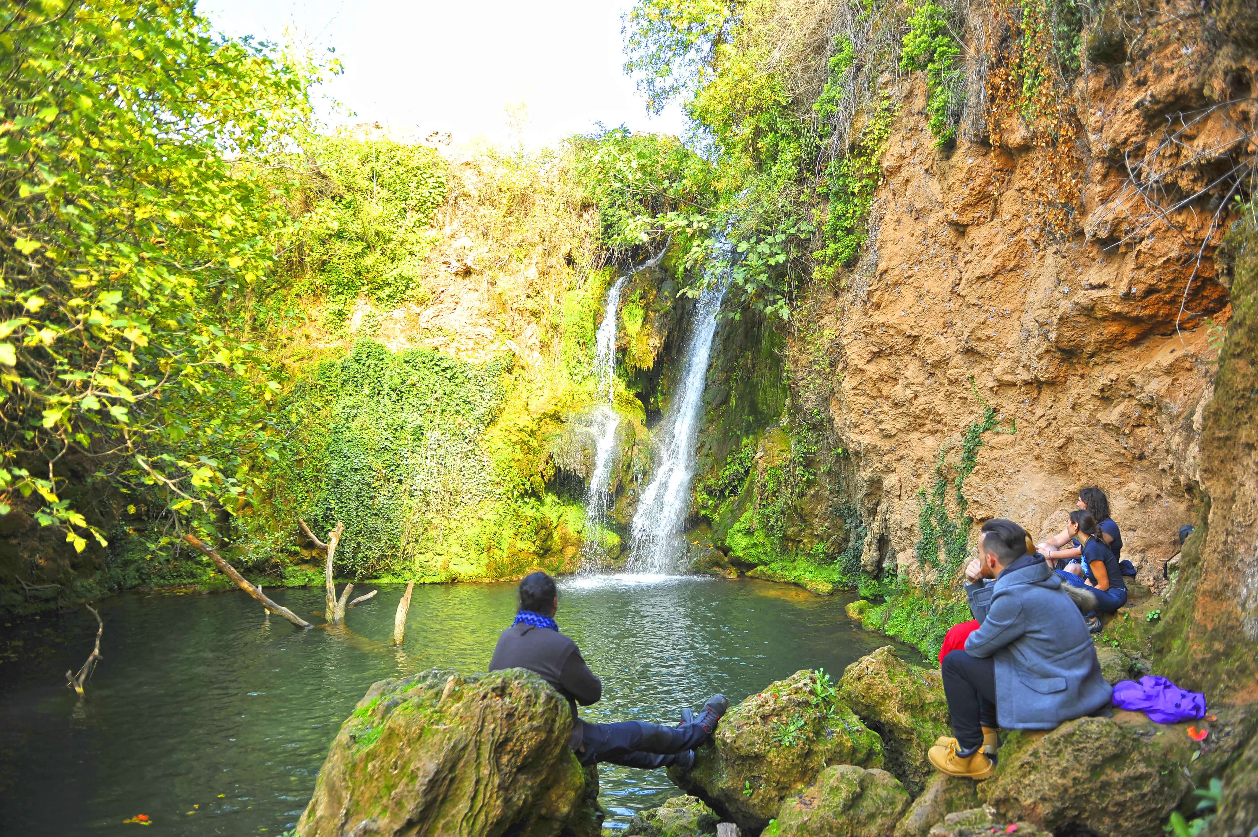 nature in the sierra norte of sevilla