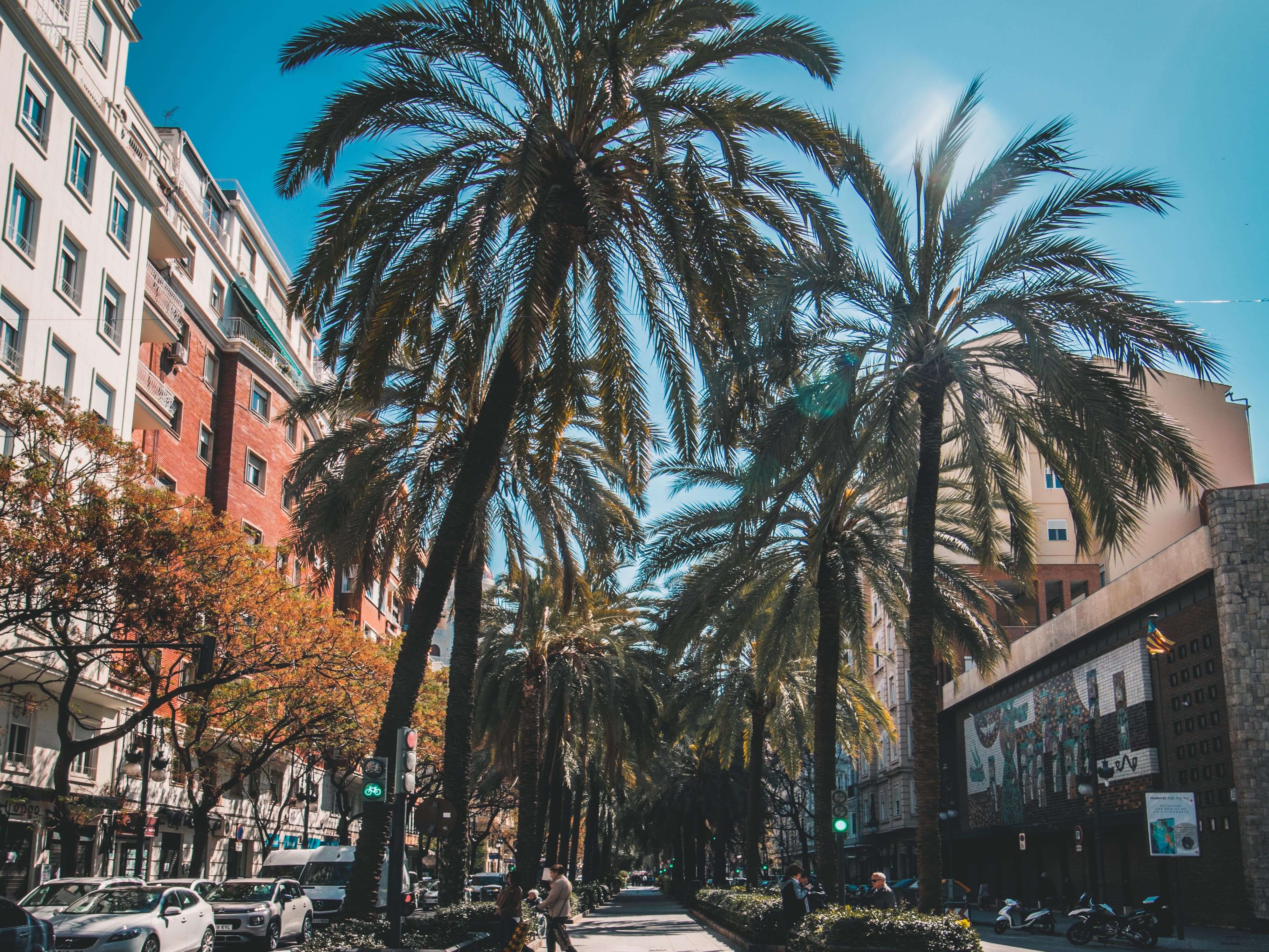 the pros and cons of living in Valencia, Spain include the sunny weather