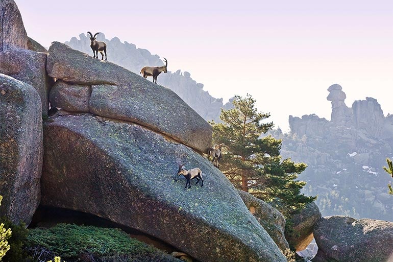 climbing in spain in la pedriza