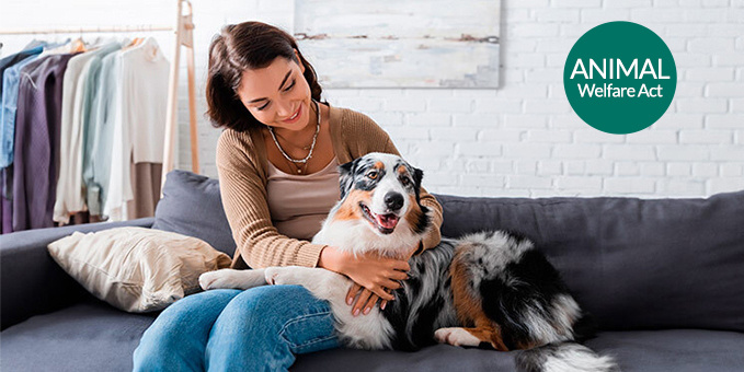 The woman smiles as she hugs an Australian Shepherd dog with a friendly expression. They are sitting together on a grey sofa in a homely setting. On the left, on the white wall, there is a green circle with the text ‘ANIMAL Welfare Act’.