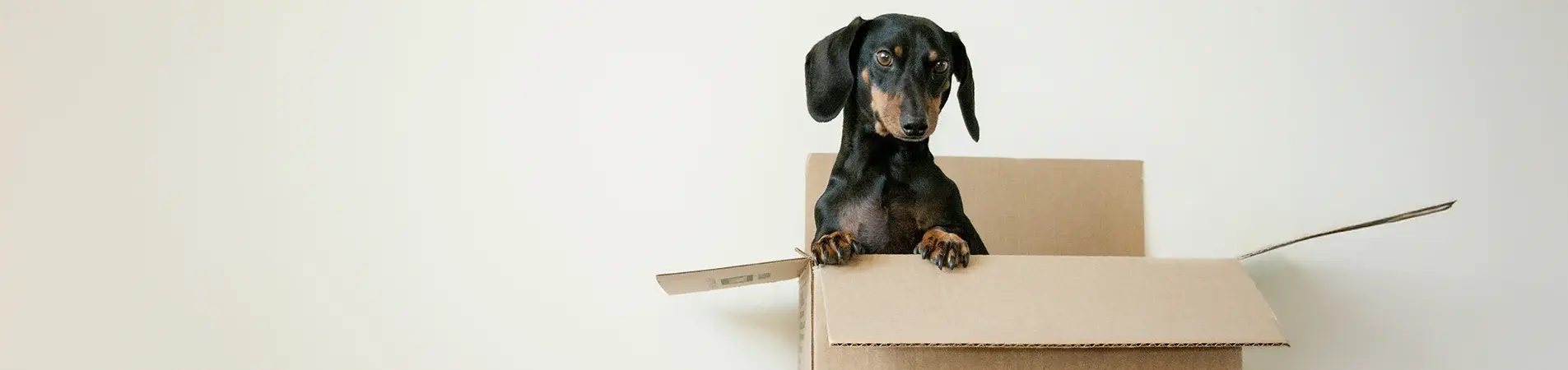  things to consider before moving abroad header