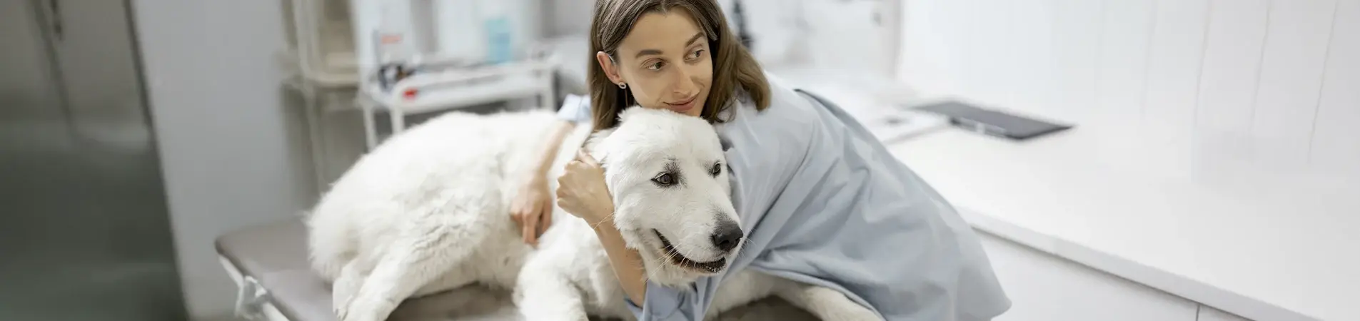 a woman hugging her white dog