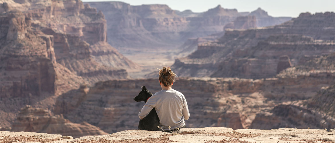 Spain's pet travel requirements and pet travel certificate