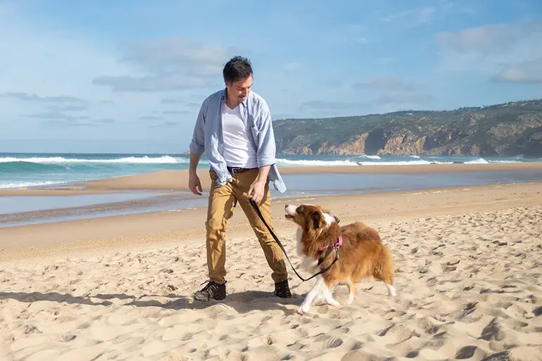 Moving to Spain with a dog. Caser Expat Insurance.
