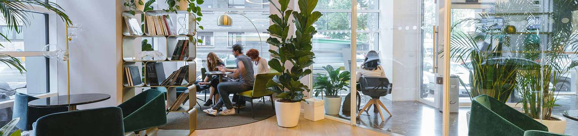 office with self employed workers in Spain 