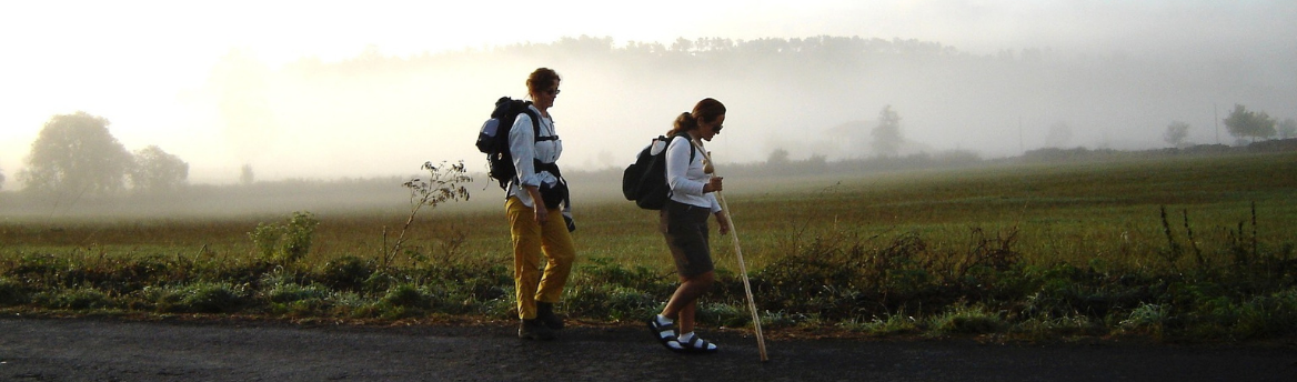 routes of the camino de santiago walk