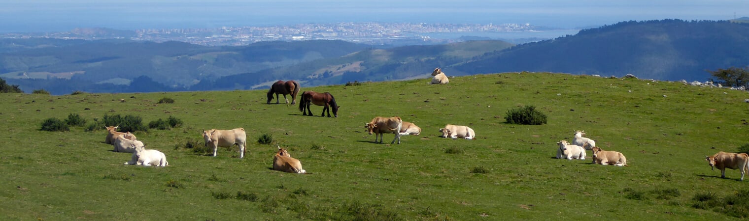 diverse climate in spain's northern region