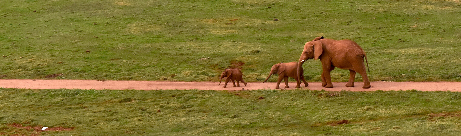 best places to visit in spain with kids like the zoo or amusement park