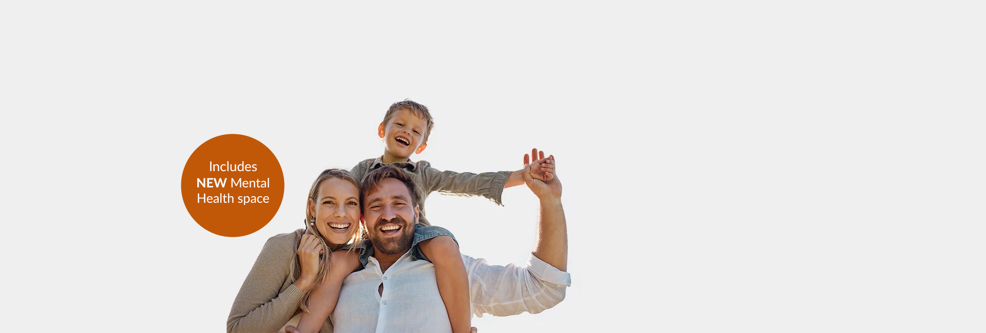 Descripción de la imagen